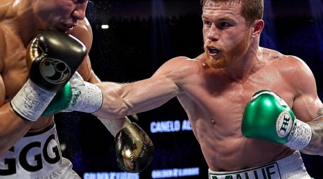 Guía para elegir guantes de boxeo: cómo elegir el peso en onzas, los materiales y el ajuste profesional Ajuste profesional