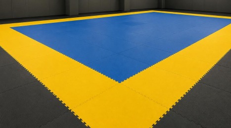 Tatamis para deportes de combate: guía sobre densidades y grosores para MMA, judo y kárate