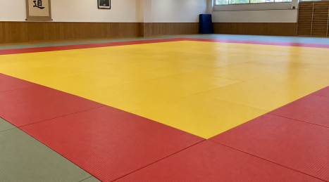 Seguridad en el tatami de judo: juntas abiertas y resbalones, cómo prevenirlos