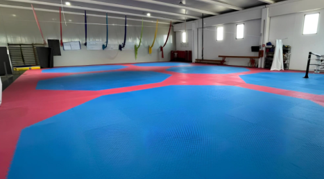 Tatami in EVA: leggerezza, resistenza e sicurezza