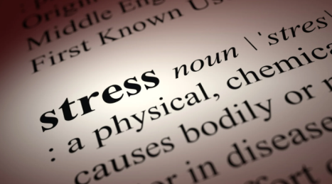 Gestire lo stress quotidiano attraverso il movimento