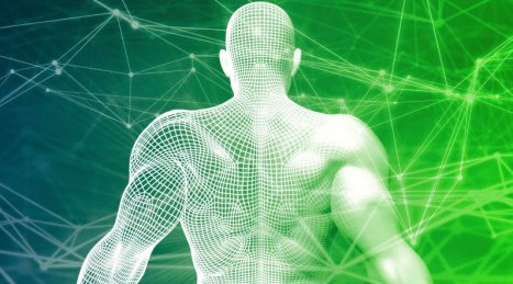 Biomeccanica Applicata: Ottimizzazione del Movimento