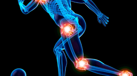 Deltoid Anatomy: 3 Shoulder Bundles for Three-Dimensional Strength