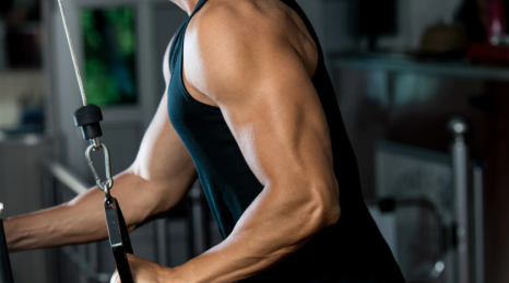 Bicipiti e Tricipiti: Allenamento Braccia Completo ed Efficace