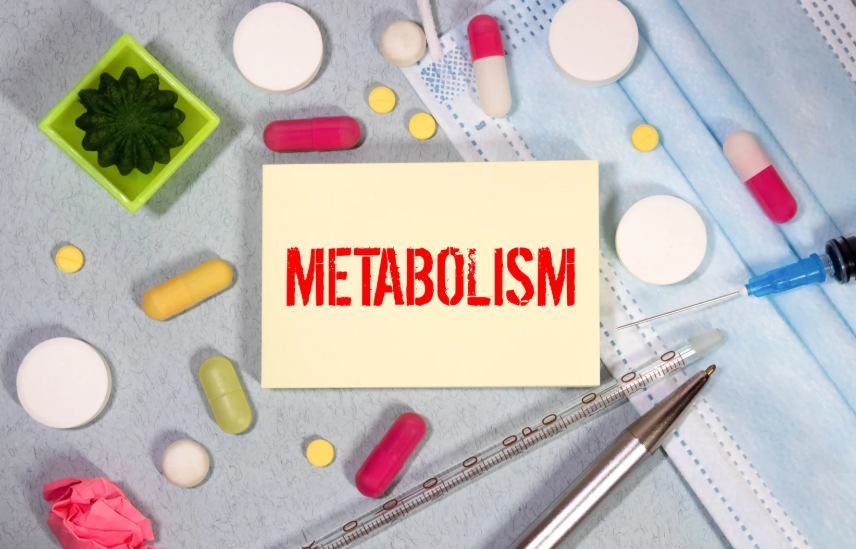 Metabolismo Lento: 7 Ormoni che Bloccano il Dimagrimento