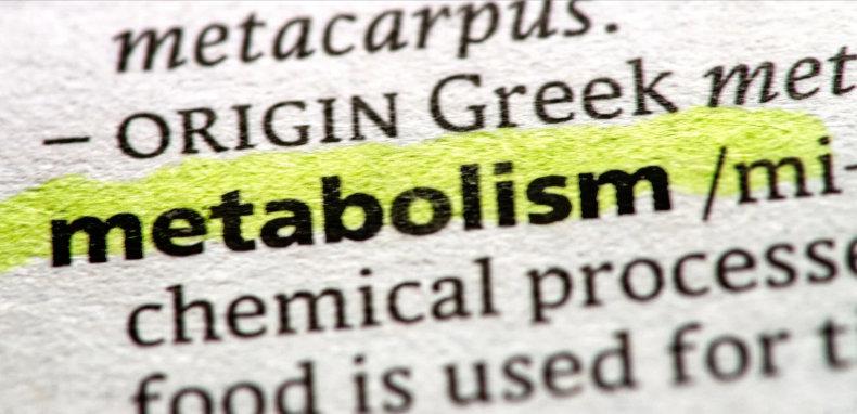 Somatotipo e Metabolismo: Ectomorfo vs Endomorfo nell'Allenamento