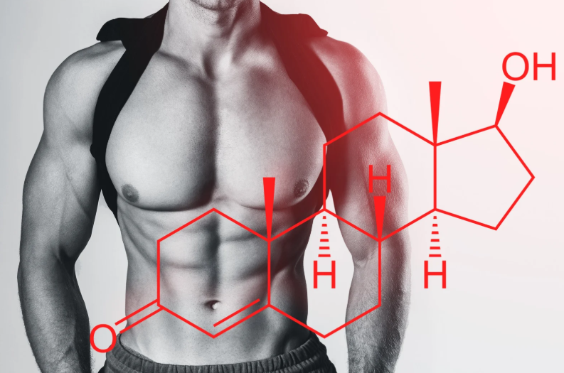 Testosterone e Insulina: Gli Ormoni Chiave della Composizione