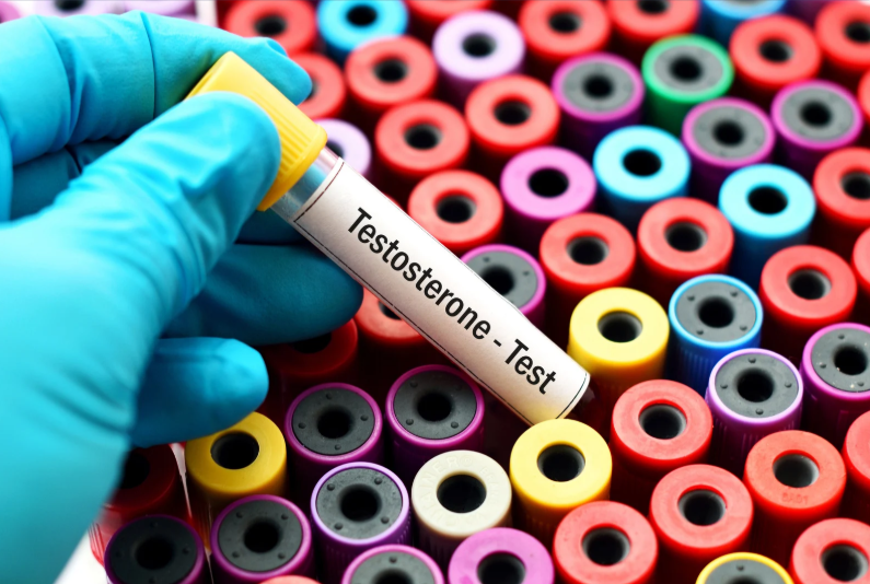 Testosterone e Performance: La Guida Scientifica Completa