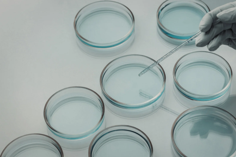 ¿Somatotipos: mito o realidad? Análisis científico