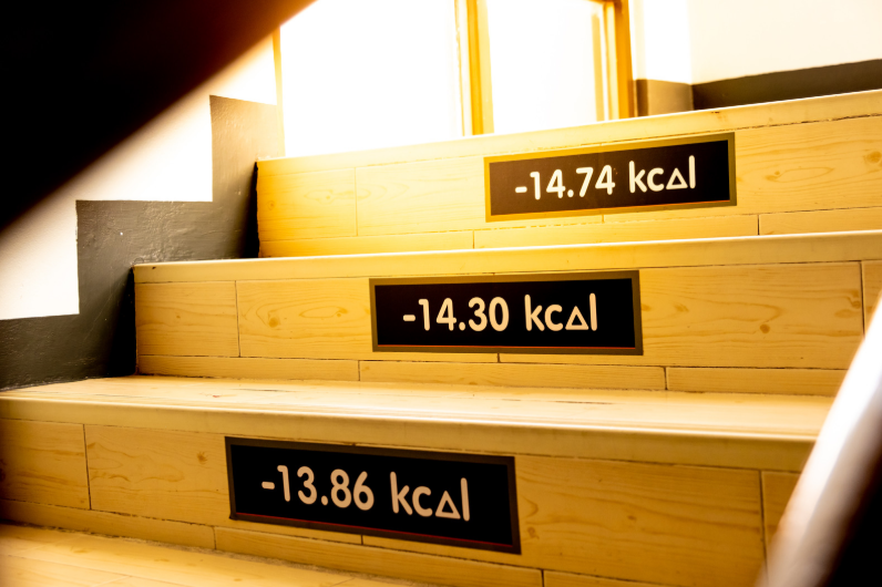 Boot Camp and metabolic work: why it really accelerates caloric expenditure