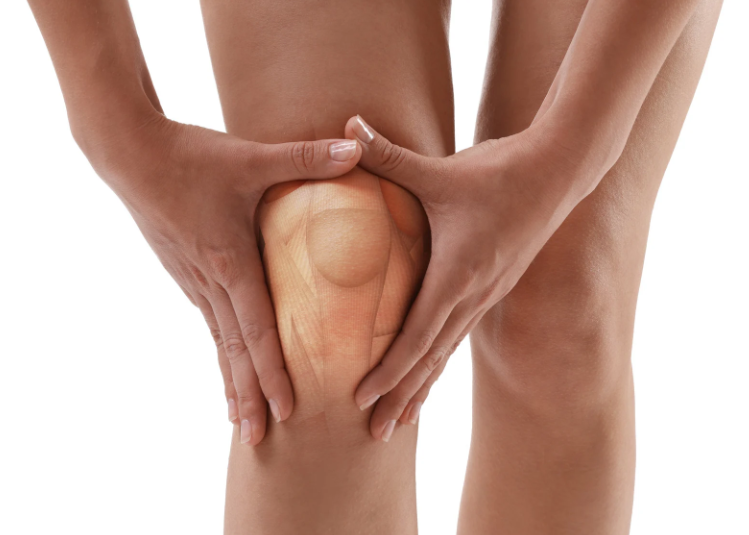 Proprioception and Strength: The Recovery of the Knee after the Meniscus