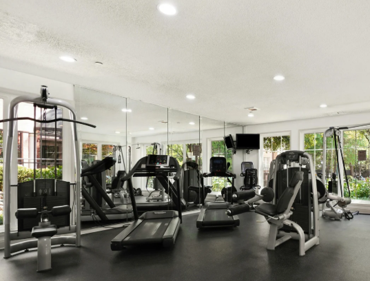 What material to choose for a professional gym with weights, functional and technical areas