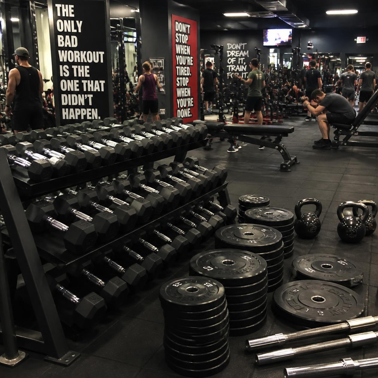 ¿Estación multifuncional o pesas libres? La ciencia del entrenamiento híbrido
