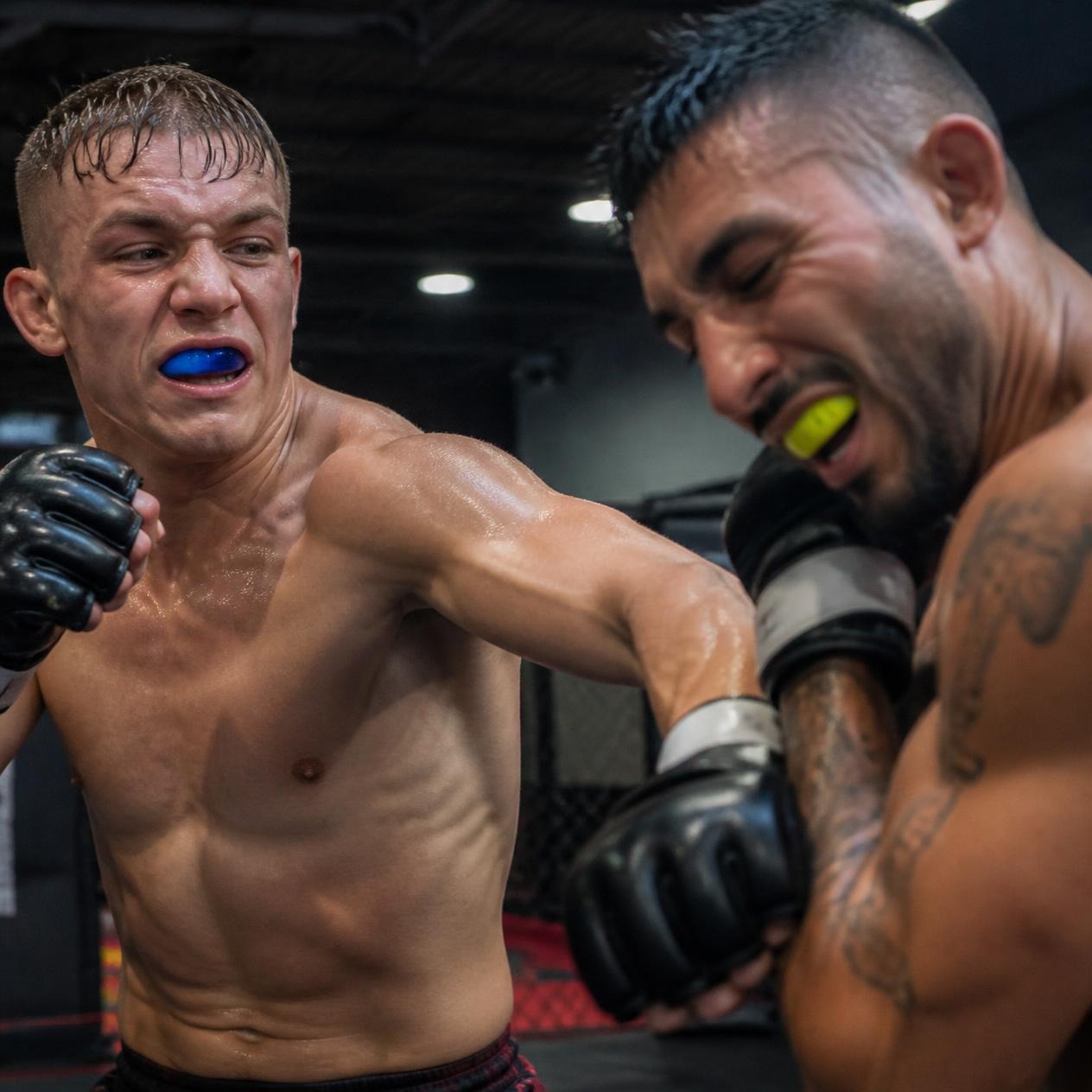 Protector bucal para boxeo y MMA: cómo moldearlo y por qué es obligatorio