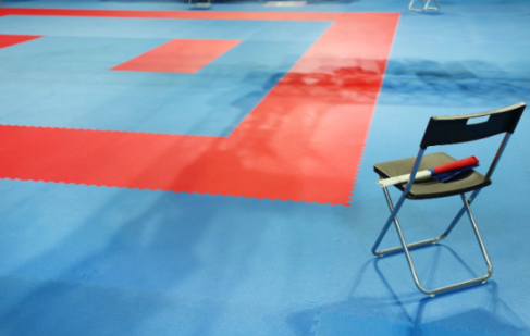 Tatami prezzi e offerte: dove acquistare online in sicurezza