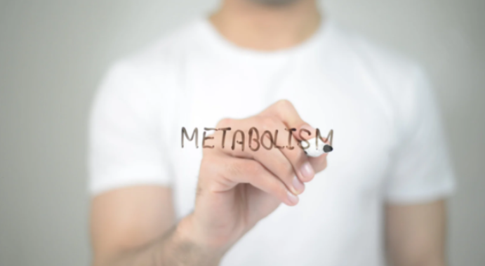 Come migliorare il metabolismo attraverso l’allenamento