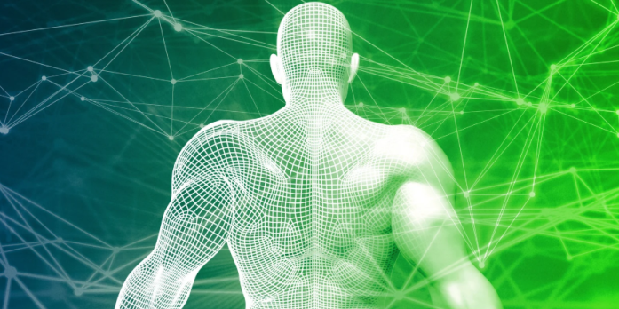 Applied Biomechanics: Motion Optimization