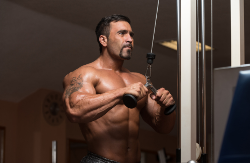 Arm Training: Biceps and Triceps for Bodybuilders