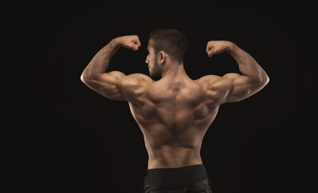 Back Health: Daily Exercises and Tips