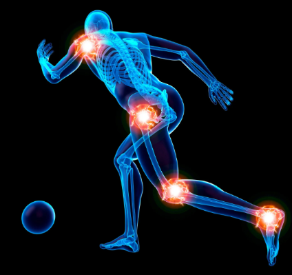 Deltoid Anatomy: 3 Shoulder Bundles for Three-Dimensional Strength