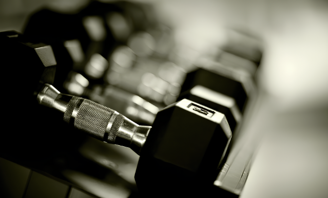 Programas de formación: Guía completa para empezar